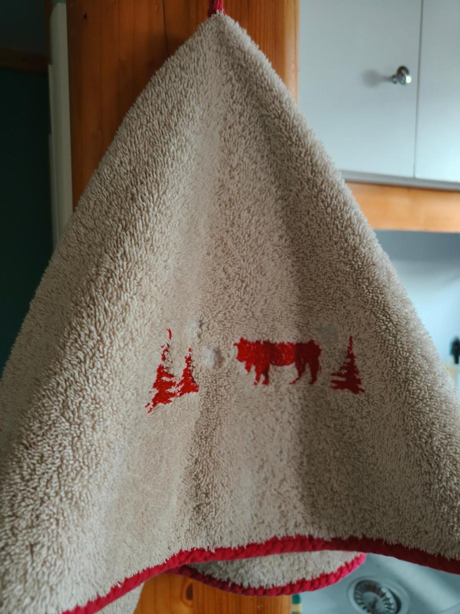 Chalets De La Colagne Bourgs sur Colagne Kültér fotó